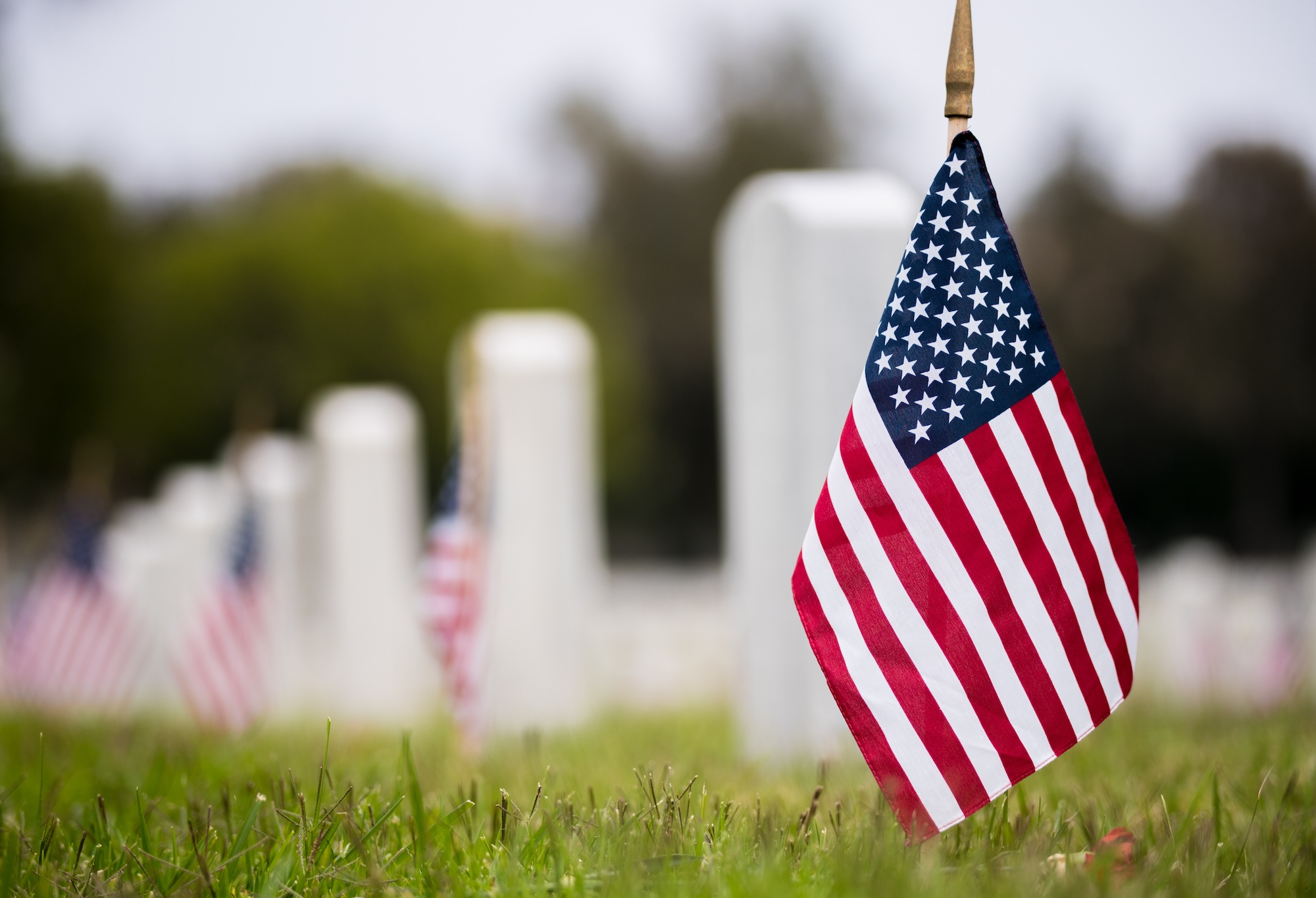 Memorial Day Wig & Topper Sale 2024